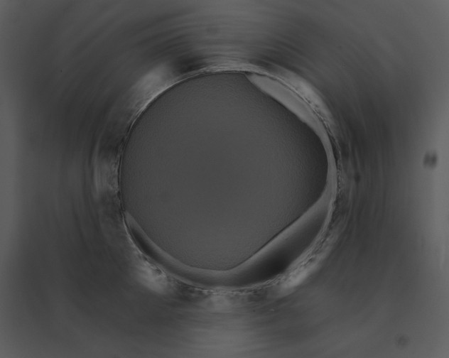 X0000095550905200801041328