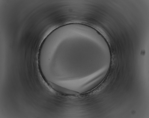 X0000095550906200801041328