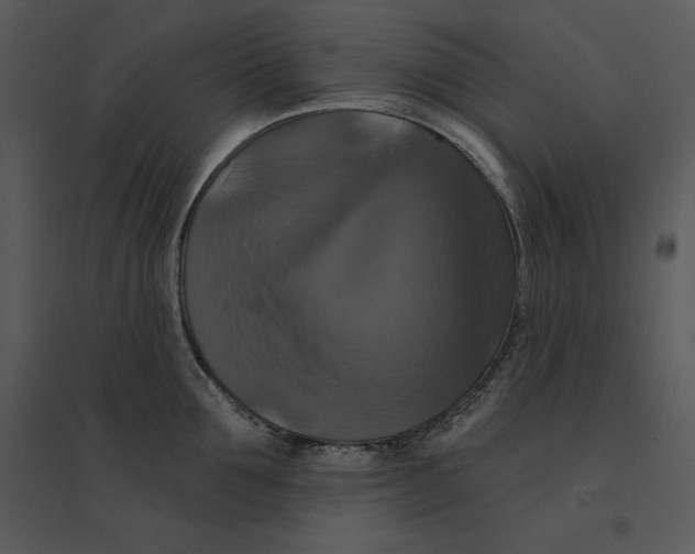 X0000095550907200801041328