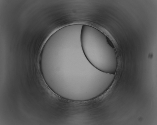 X0000095550908200801041328