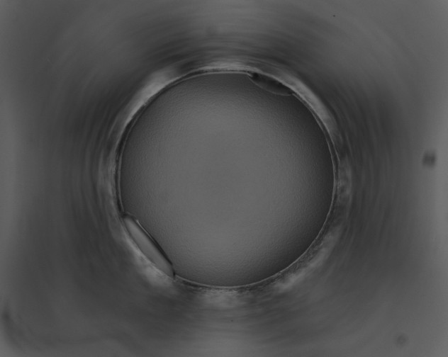 X0000095550909200801041328