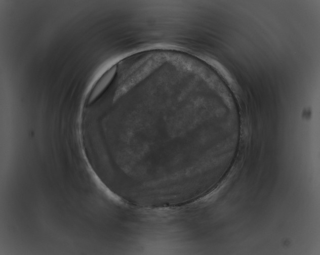 X0000095550910200801041328