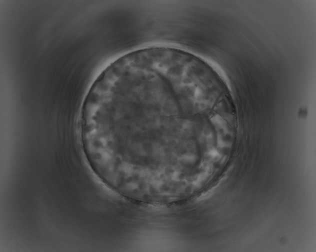 X0000095550911200801041328