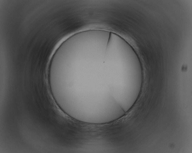 X0000095550912200801041328