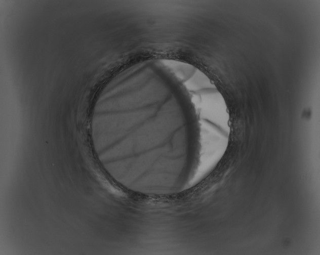 X0000095550913200801041327