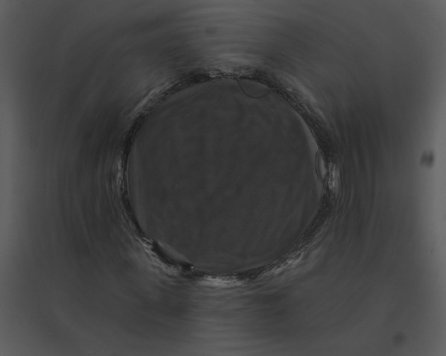 X0000095550915200801041327