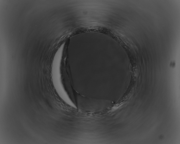 X0000095550916200801041327