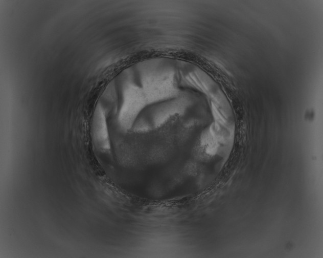 X0000095550917200801041327