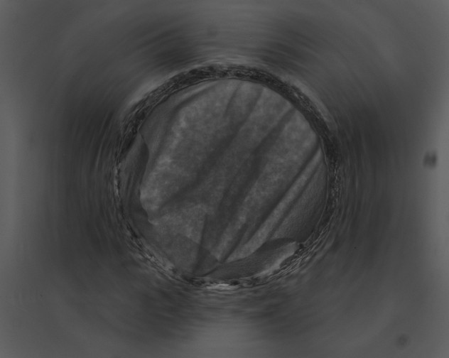 X0000095550919200801041327