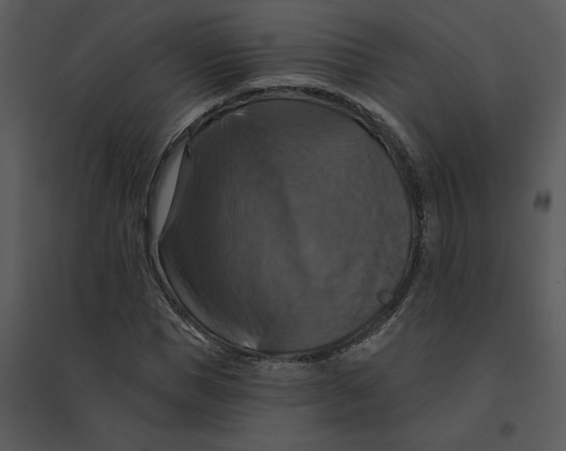 X0000095550921200801041327