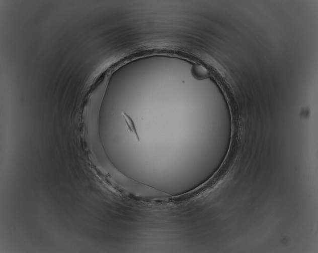 X0000095550922200801041327