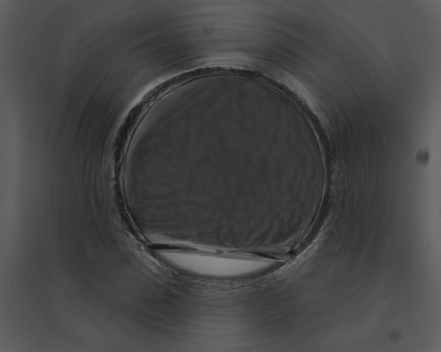 X0000095550923200801041328