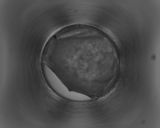 X0000095550924200801041328