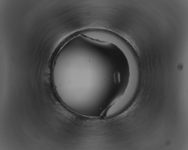 X0000095550926200801041328