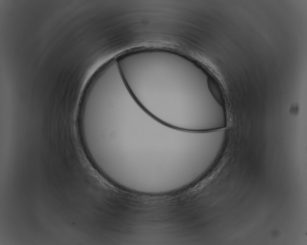 X0000095550928200801041328