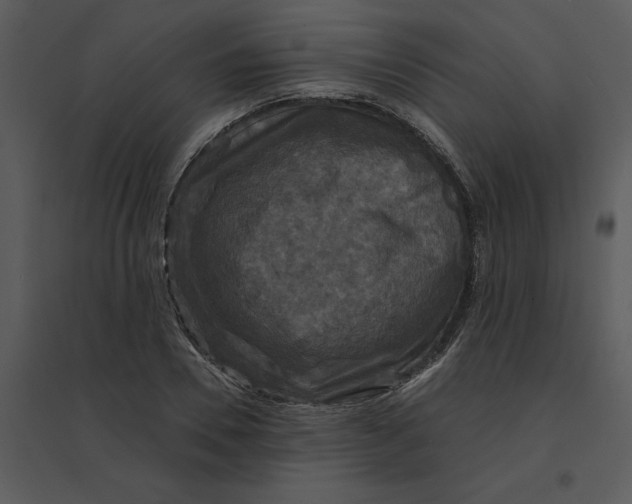 X0000095550930200801041328