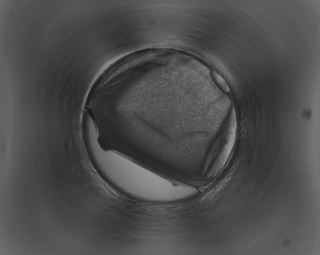 X0000095550932200801041328