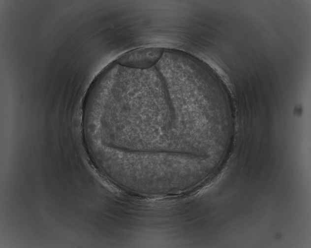 X0000095550933200801041328