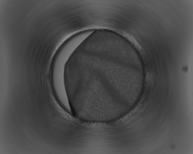 X0000095550934200801041328