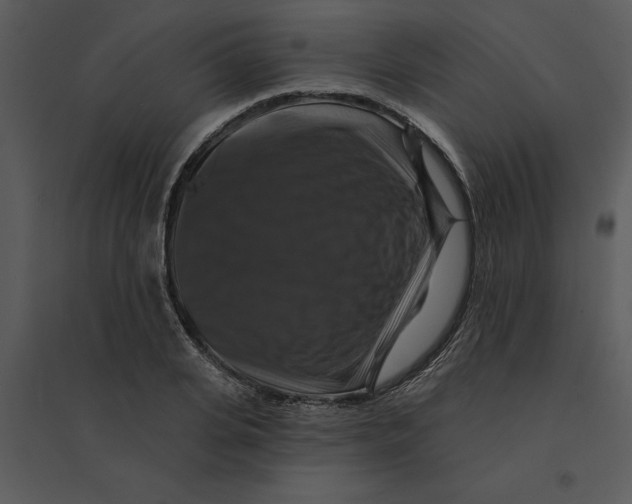 X0000095550935200801041328