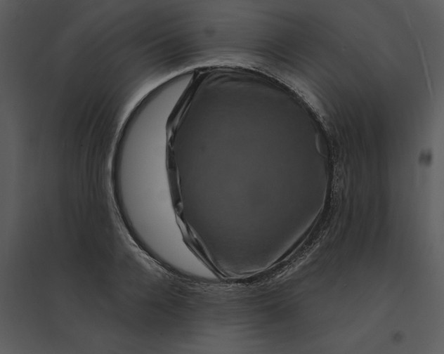 X0000095550936200801041328