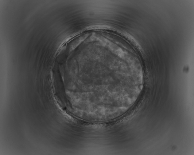 X0000095550937200801041328