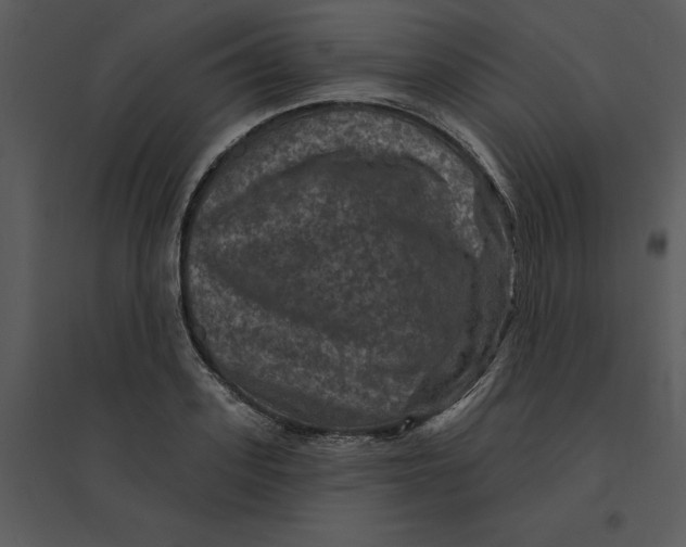 X0000095550939200801041328