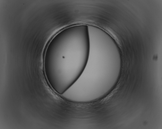 X0000095550940200801041328