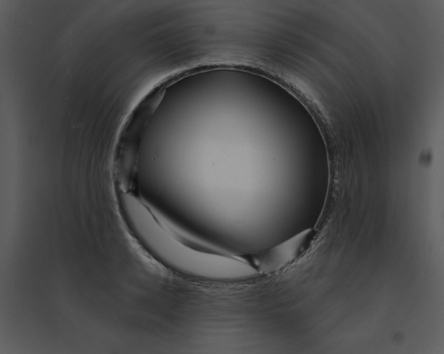 X0000095550942200801041328