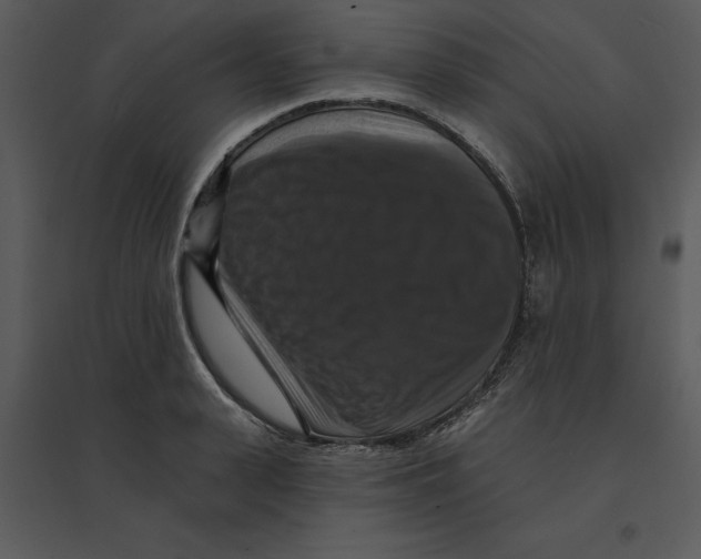 X0000095550943200801041328