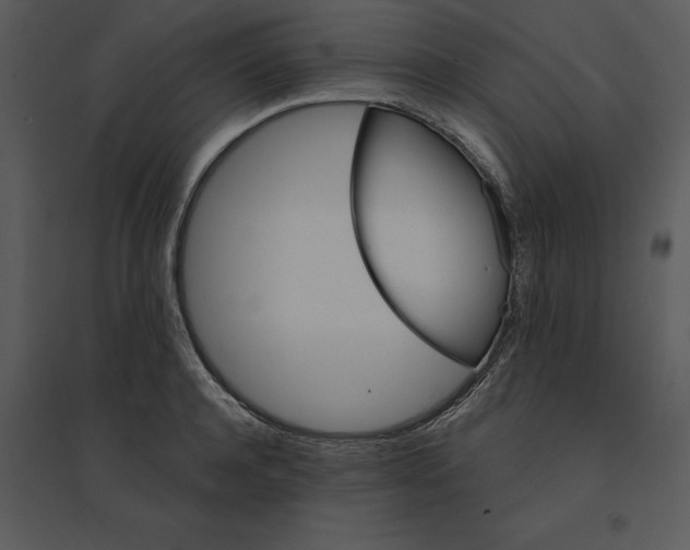 X0000095550944200801041328