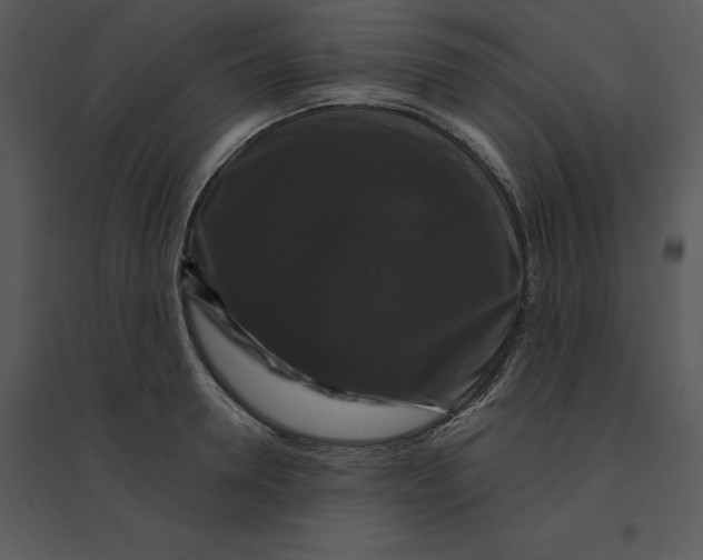 X0000095550946200801041328