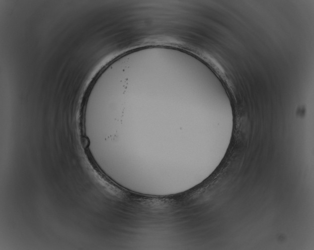 X0000095550947200801041328