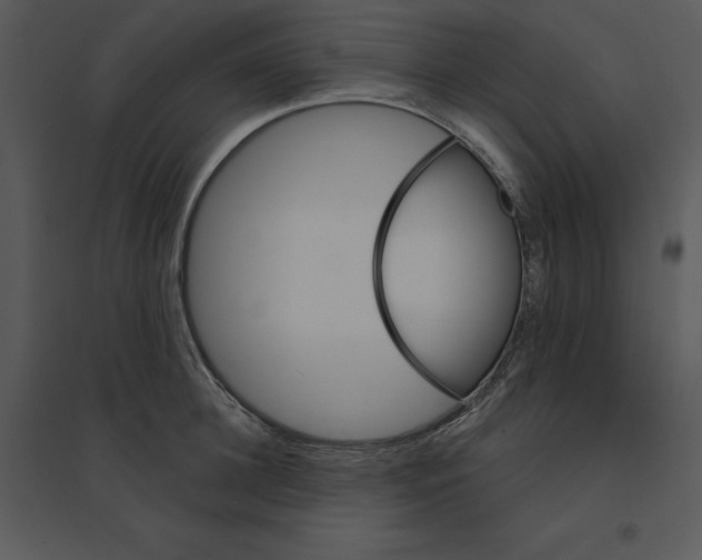 X0000095550948200801041328