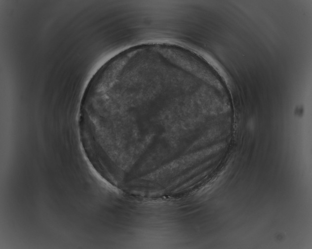 X0000095550951200801041328