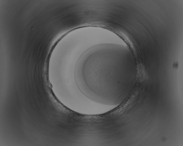 X0000095550952200801041328