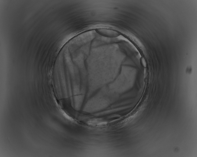 X0000095550953200801041328