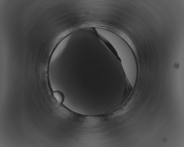 X0000095550954200801041328