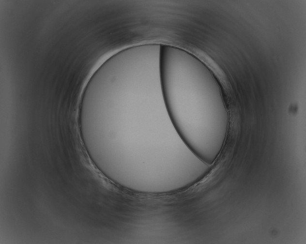 X0000095550956200801041328