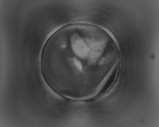 X0000095550957200801041328