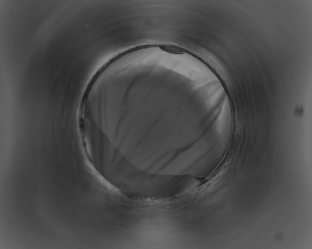 X0000095550958200801041328