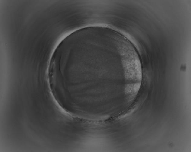 X0000095550959200801041328