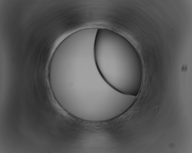 X0000095550960200801041328