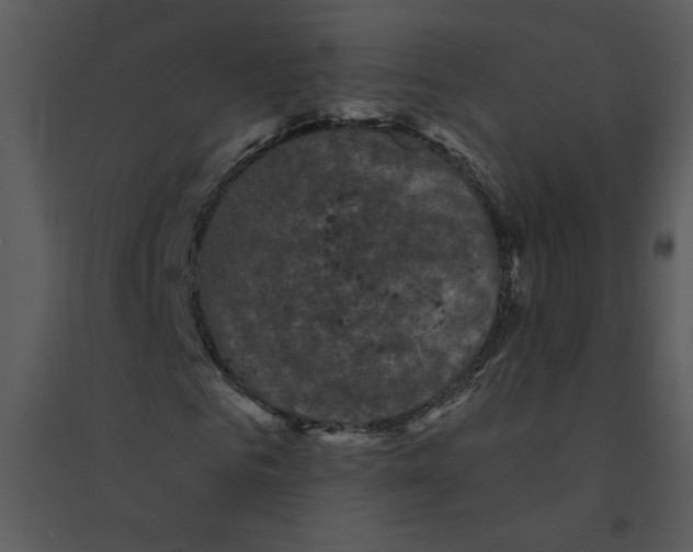 X0000095550961200801041327