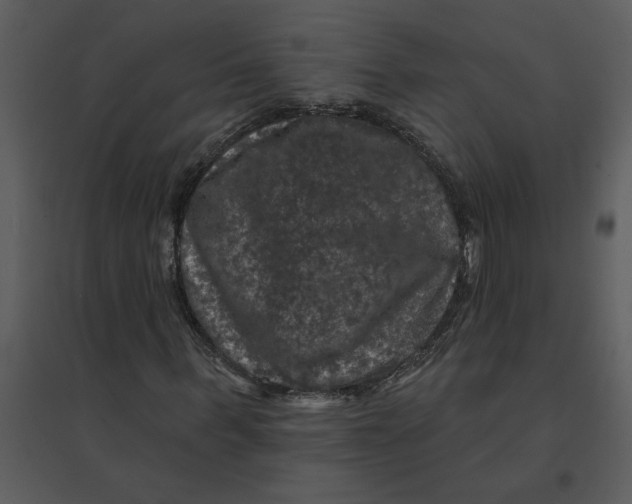 X0000095550963200801041327