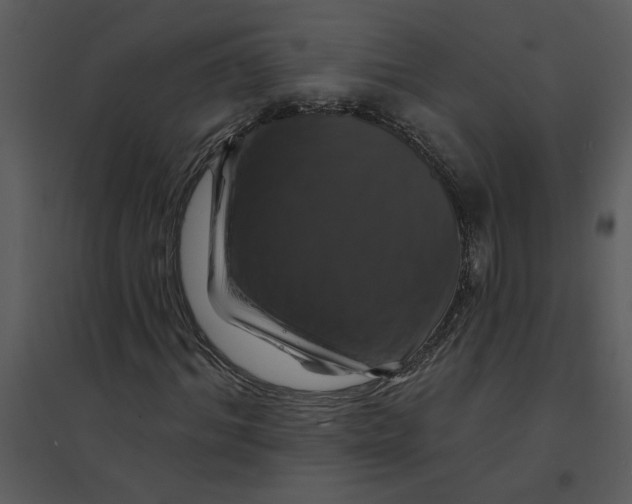 X0000095550964200801041327