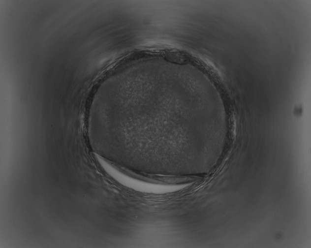 X0000095550965200801041327