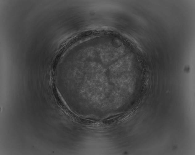 X0000095550966200801041327