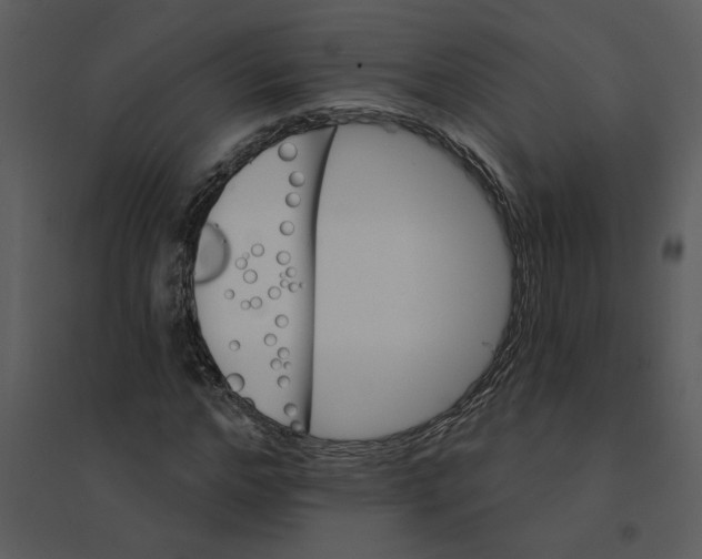 X0000095550968200801041327