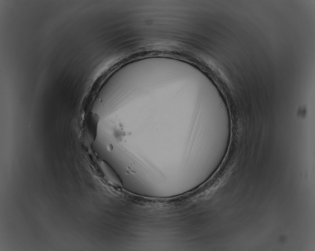 X0000095550970200801041327